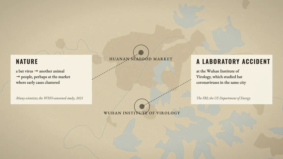 The paper map of Wuhan with the Huanan Seafood Market and the Wuhan Institute of Virology pinned, and two identical cards: Nature, and A laboratory accident.